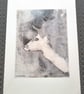 Mixed Media Art Print - 'Stag' Limited Edition