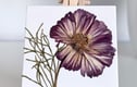 Pressed Flower on Canvas 