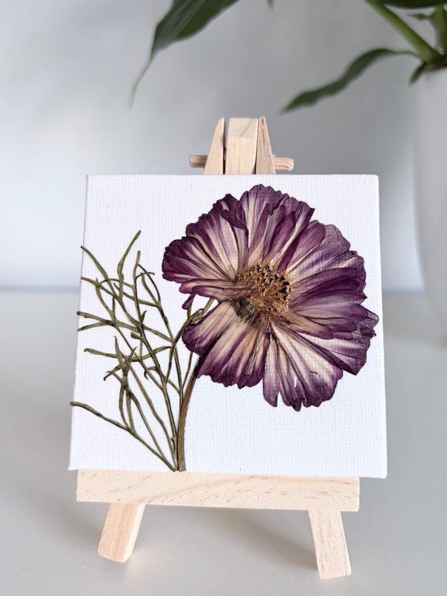 Real Pressed Flower Mini Canvas on Wooden Easel, Real Cosmos, Mini Art