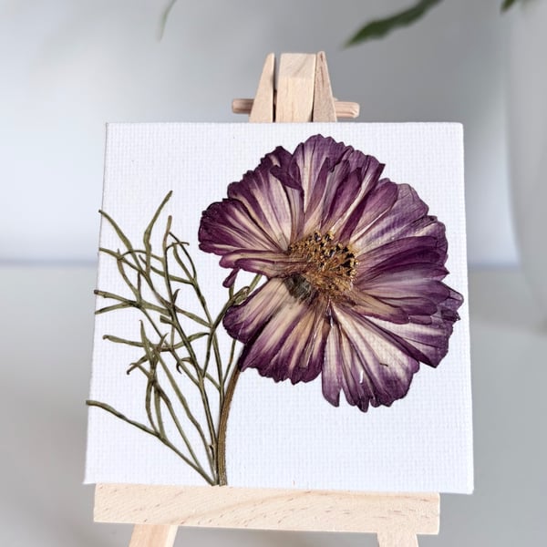 Real Pressed Flower Mini Canvas on Wooden Easel, Real Cosmos, Mini Art