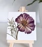 Real Pressed Flower Mini Canvas on Wooden Easel, Real Cosmos, Mini Art