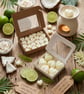 Coconut & Lime Highly Scented Wax Melts, VeganCruelty Free, Handmade in the UK