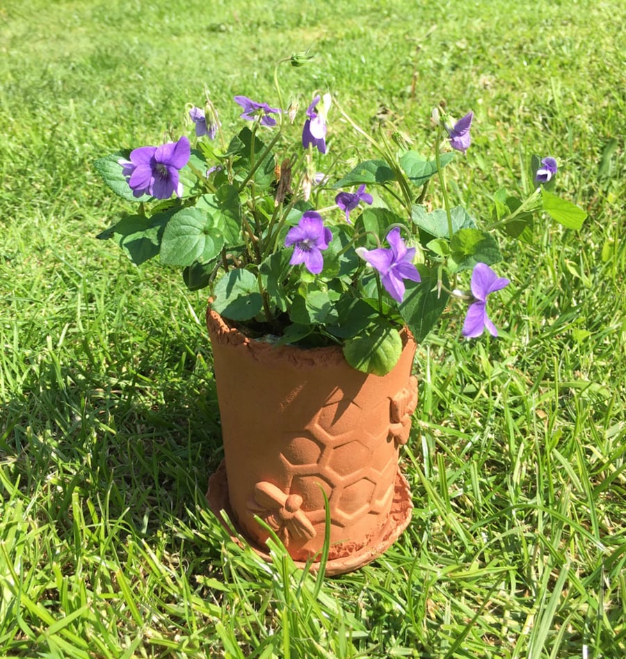 Terracotta Plant Pots (Bee hive design)