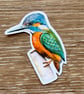 Kingfisher Sticker - Image 2