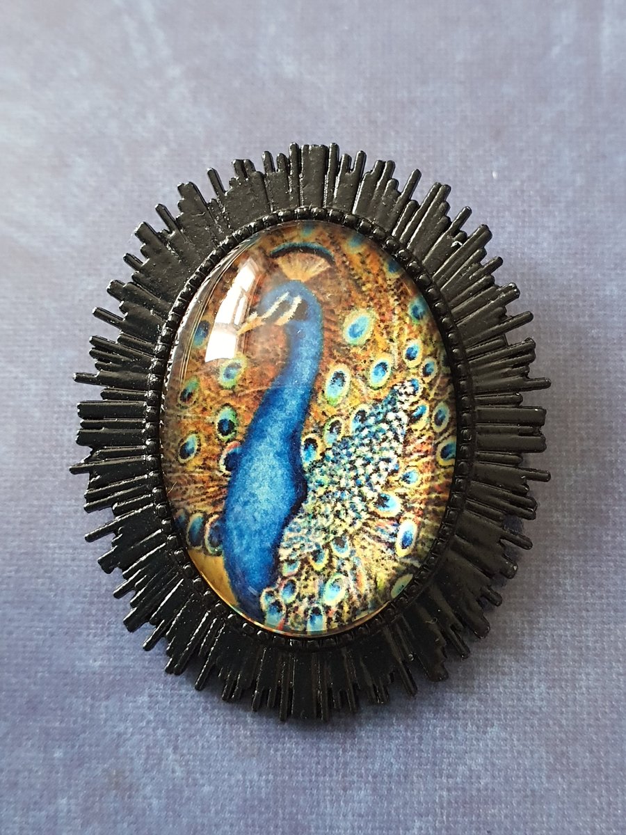 Peacock brooch