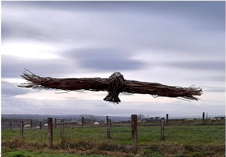 Gliding Greetings Cards