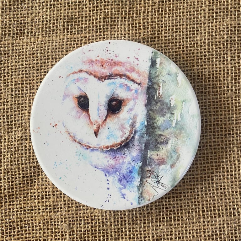 Barn Owl Ceramic Coaster with Cork Base, Large 10cm Round Coaster. From a Waterc