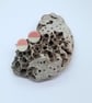Ceramic Earrings Studs CHOOSE COLOUR Lime Pink Peppermint Cappuccino Brown Green - Image 2