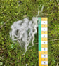 Silver Gotland Fleece - Image 3