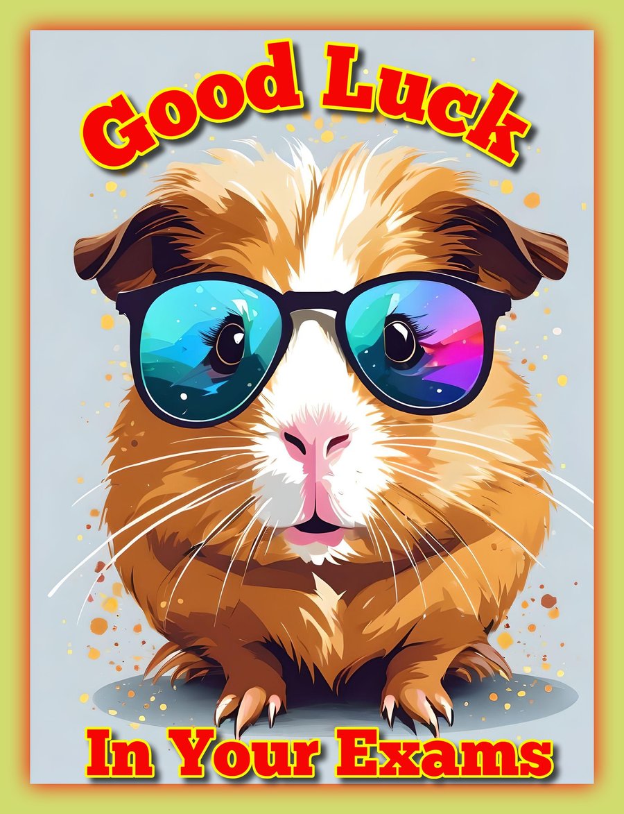 Good Luck In Your Exams Guinea Pig Card A5
