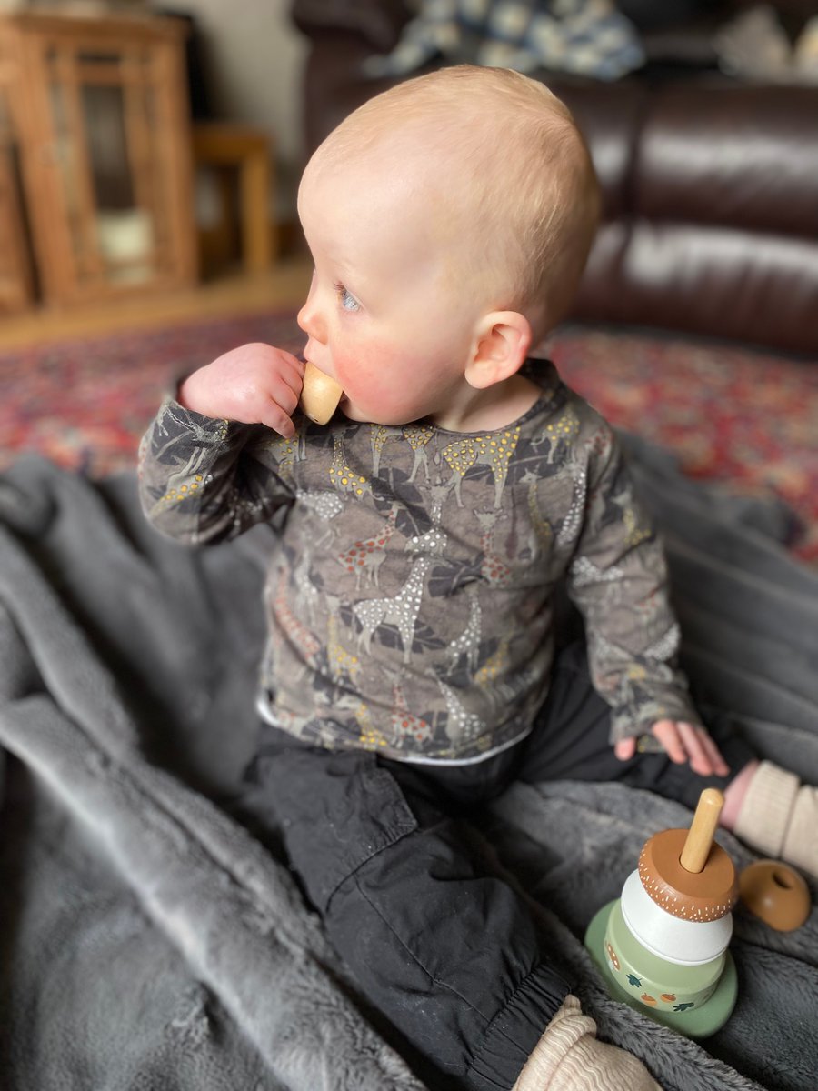 Giraffe long sleeved top - 9-12 months (last one)