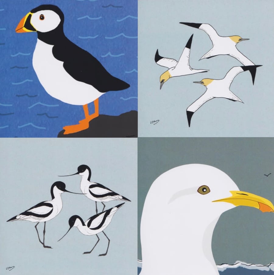 Coastal bird greetings cards - pack of 4