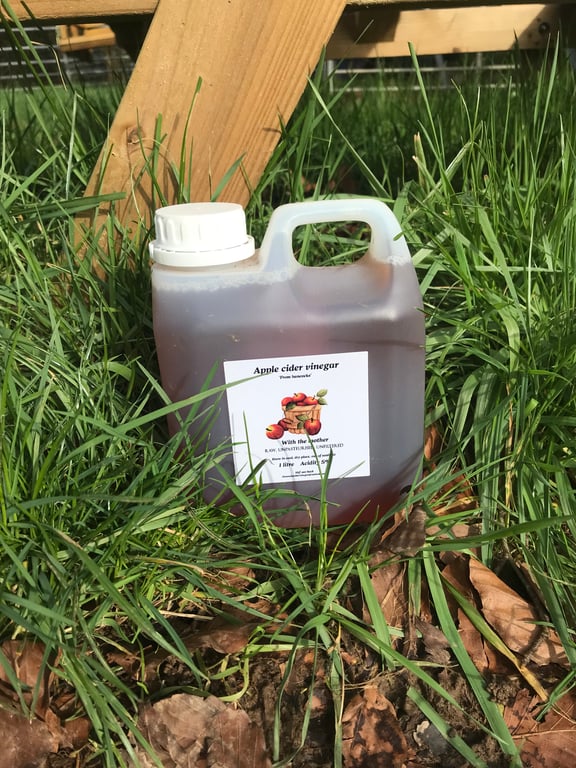 Apple cider vinegar “with the mother”