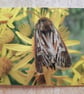 Antler Moth Card - Image 2