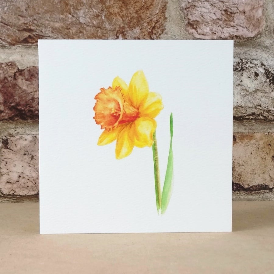 Blank Daffodil ecofriendly card