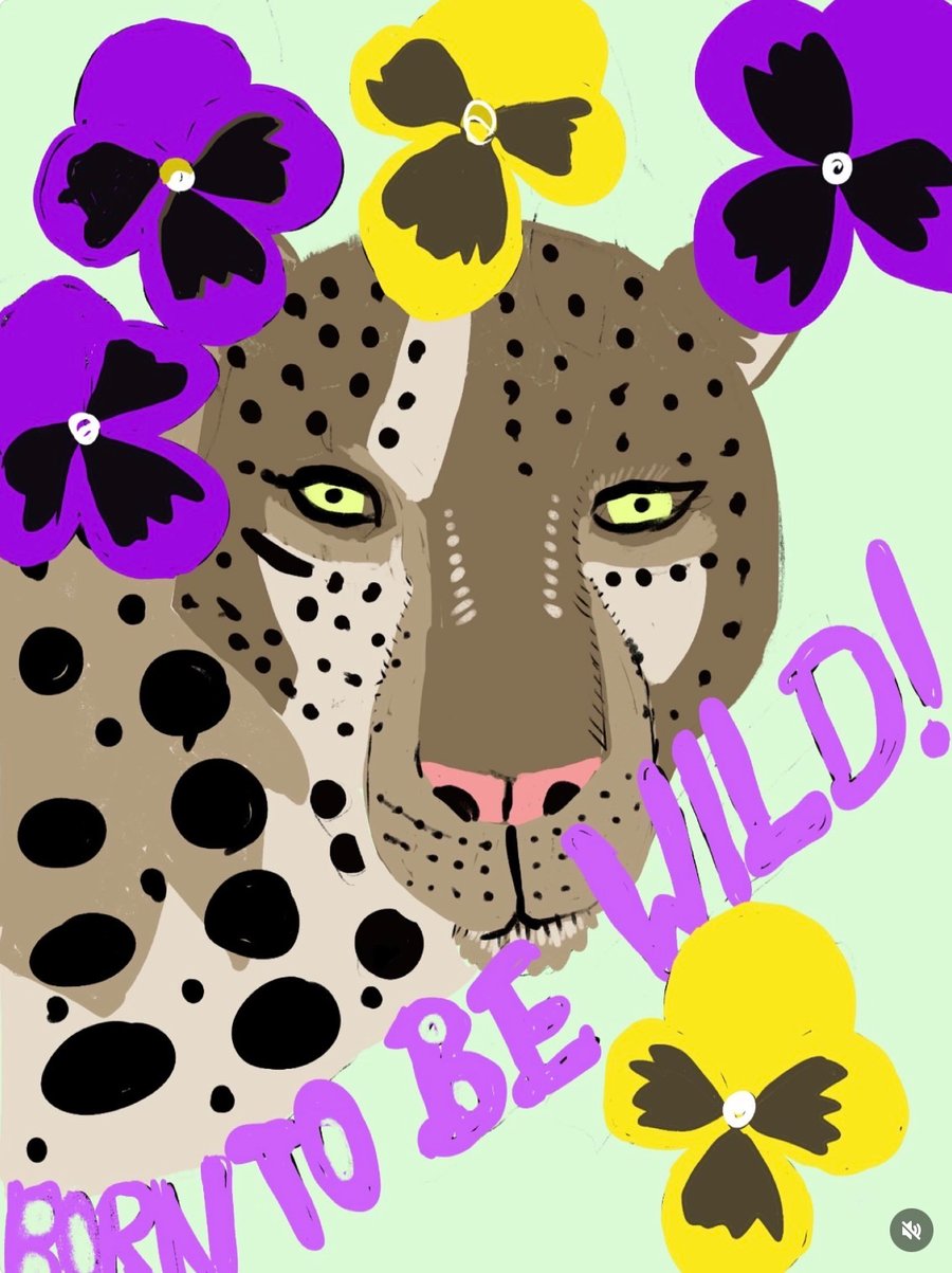 Wild leopard