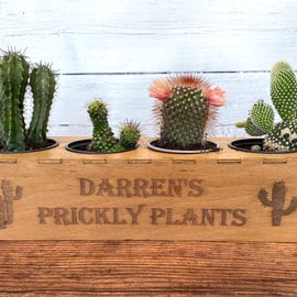 Personalised Cactus Garden Planter With Pots