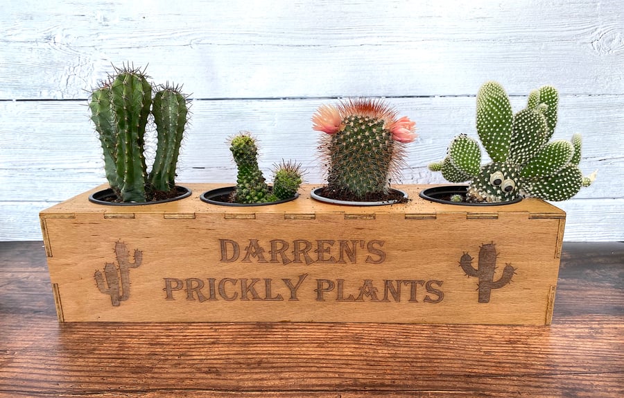 Personalised Cactus Garden Planter With Pots
