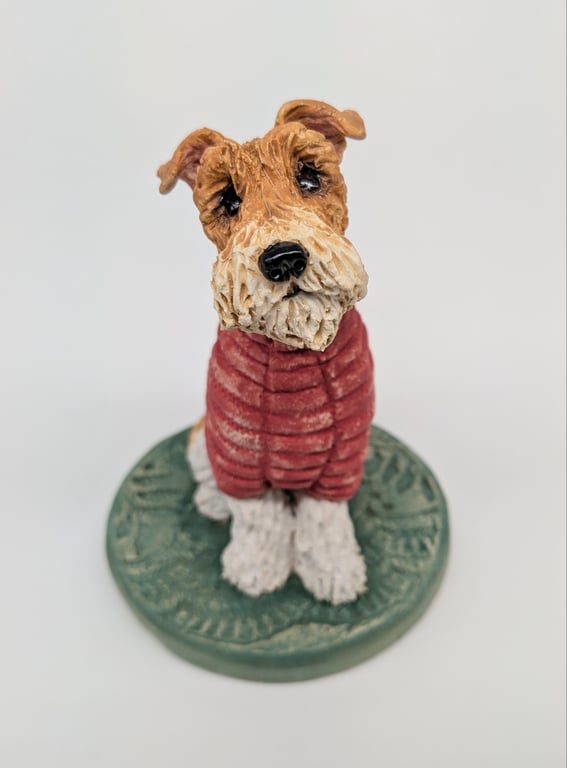 Wire Fox Terrier in Red Woolly Jumper!