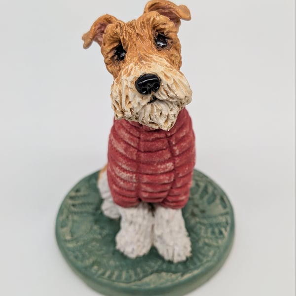 Wire Fox Terrier in Red Woolly Jumper!