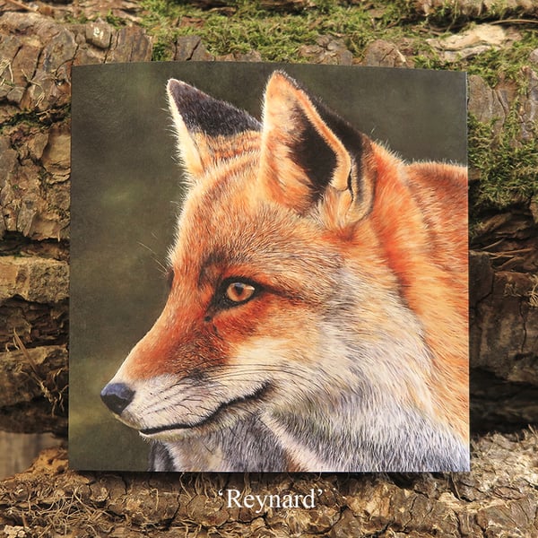 Reynard- The Fox
