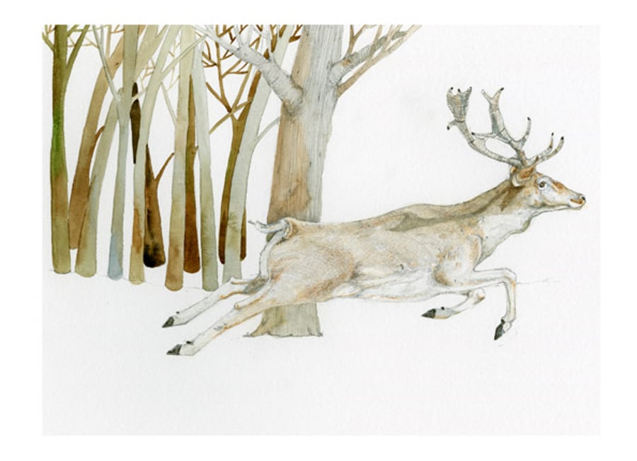 Fallow Deer Running Print Giclee A4 print