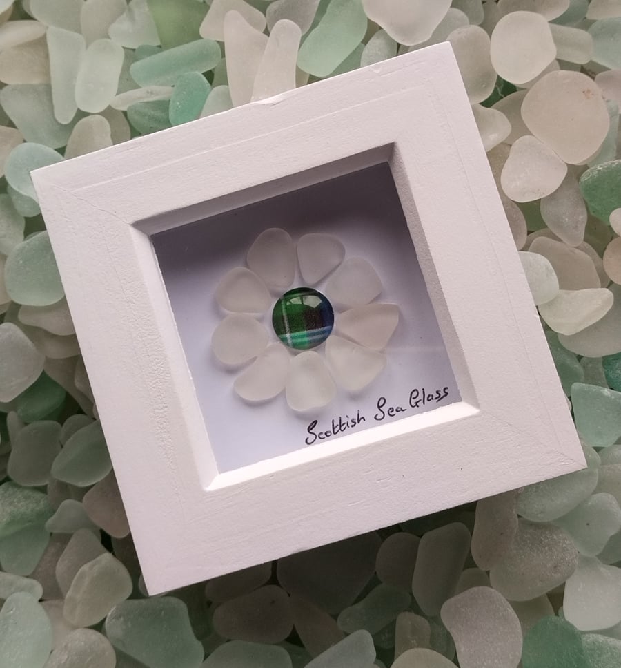 Scottish Sea Glass Daisy Framed Picture