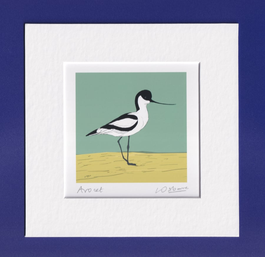 Avocet - bird print - coastal