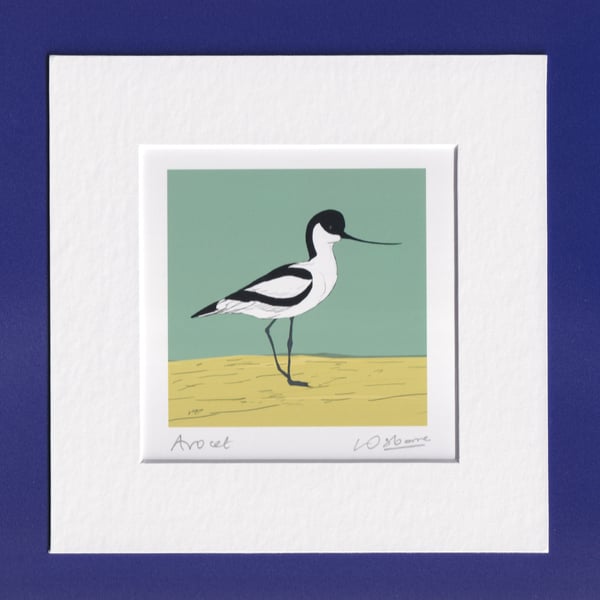 Avocet - bird print - coastal