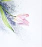 Pink Tulip  Spring Flowers Original Watercolour Painting - Image 6