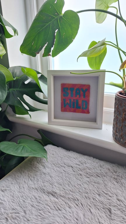 Stay Wild Modern Needlepoint Kit – Zebra Print Beginner Craft Kit