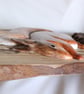 Red squirrel panel - Image 3