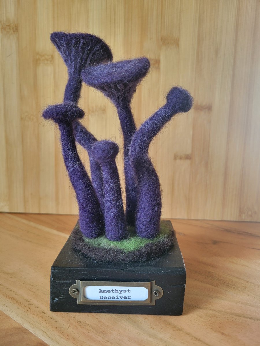 Amethyst Deceiver mushrooms