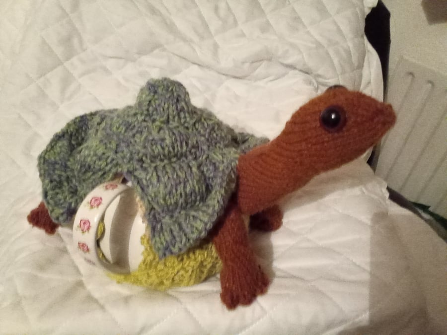 Titus the tortoise tea cosy. 