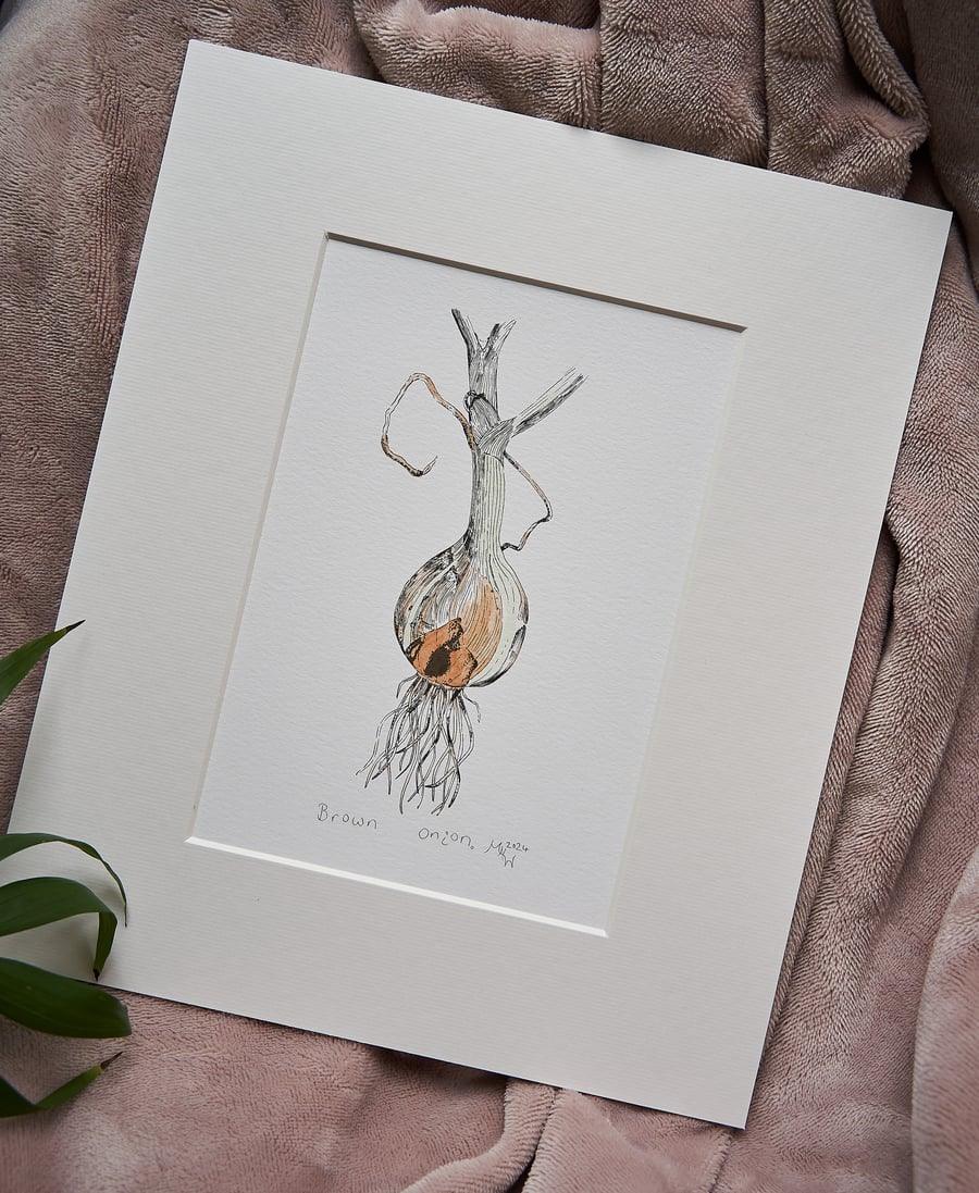 "Brown Onion" - original piece, hand-drawn & painted, mounted ready for framing