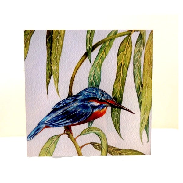Kingfisher Bird Greeting Card Botanical Wildlife  Blank Art Card