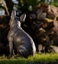 Sitting French Bulldog - Image 6