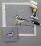 Blue-tit card, printed on recycled card, blank - Image 2