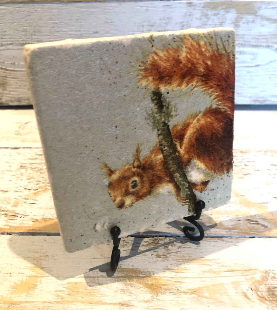 Squirrel Natural Stone Coaster