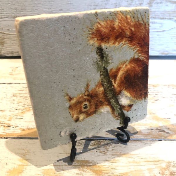 Squirrel Natural Stone Coaster