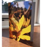 Bee on a Sunflower, A6 Greetings Card Nature Photography - Image 3