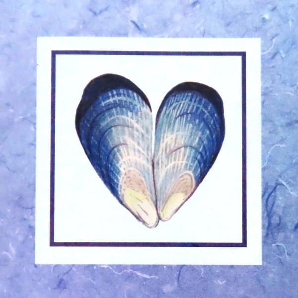 Mussel heart blank greeting card valentines, weddings, anniversaries, birthdays
