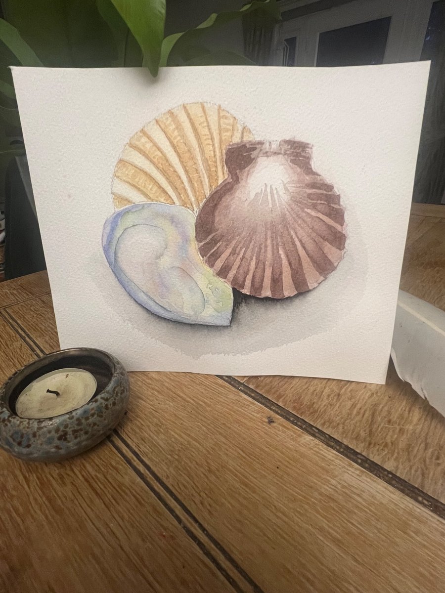 3 tidal shells