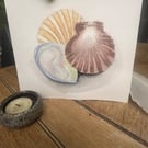 3 tidal shells