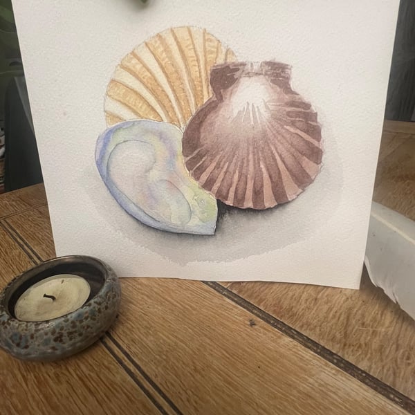 3 tidal shells