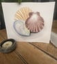 3 tidal shells