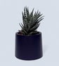Small Deep Violet Plant Pot - 7.5 cm Vibrant Indigo Mini Succulent Pot - Image 5