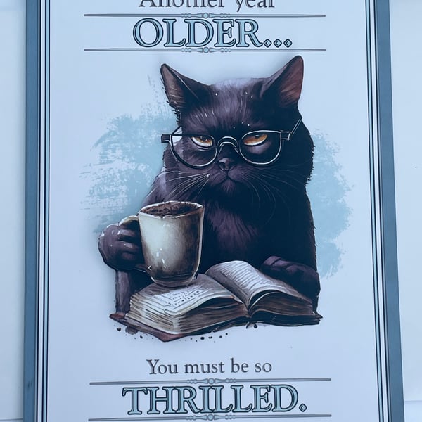 Another year older you must be so thrilled grumpy cat birthday card