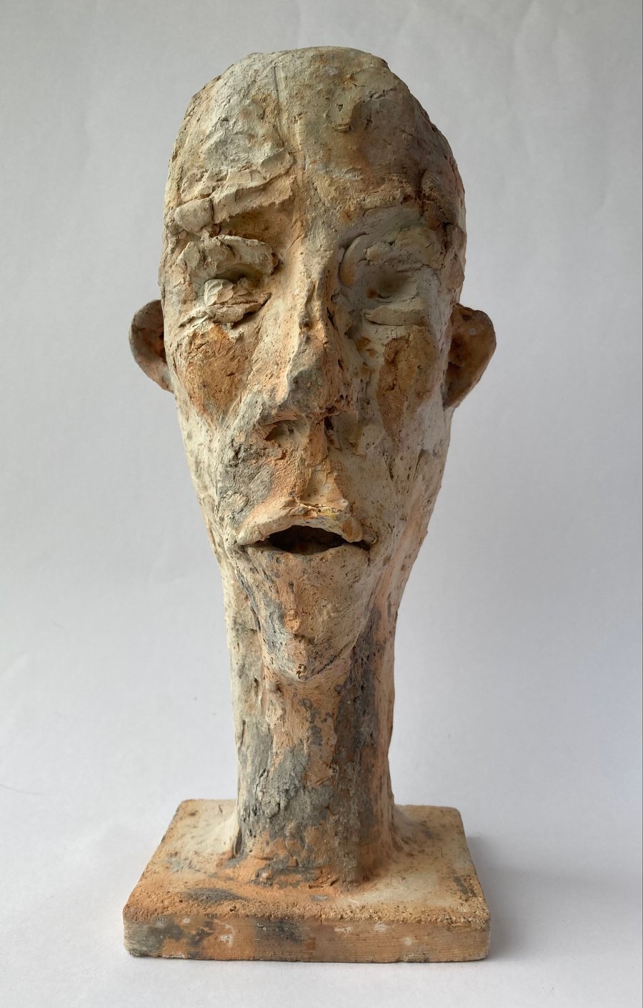 Character Study Sculpture  Male Head