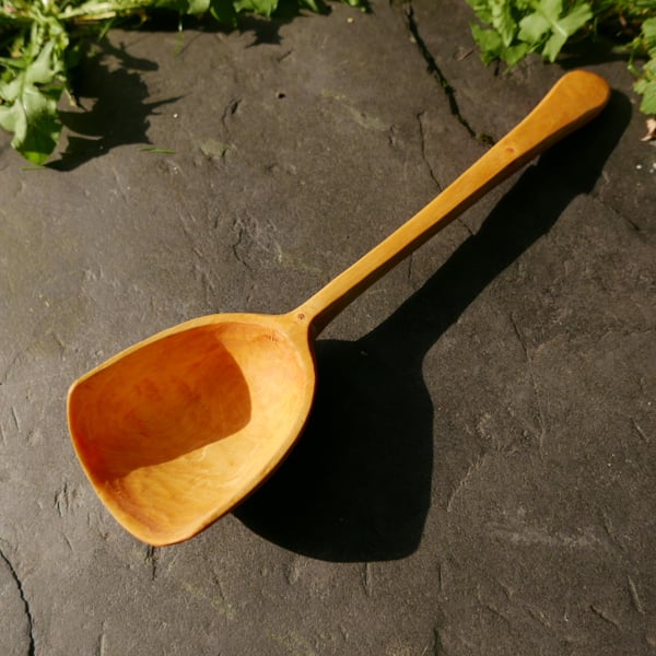  Sycamore Scoop